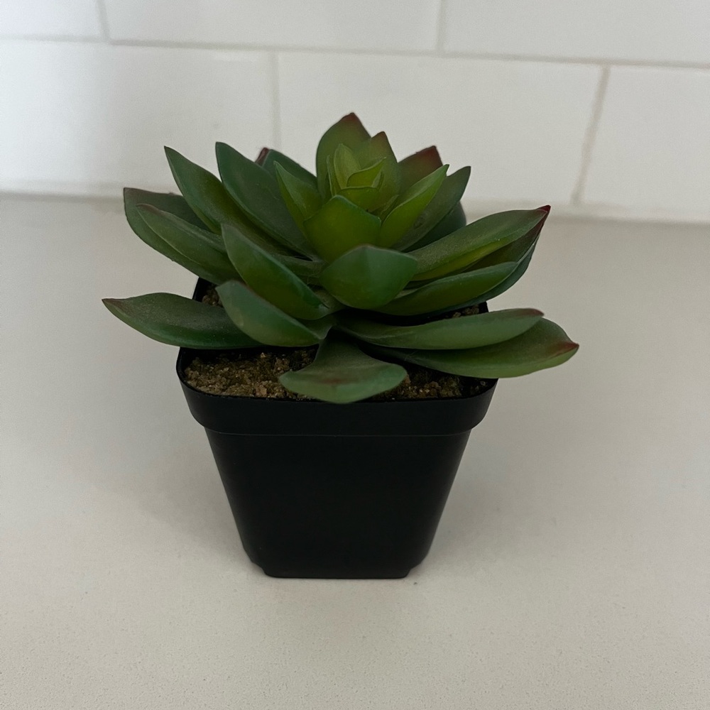 Fake plant